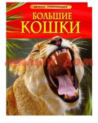 Книга Детская Энциклопедия Большие кошки 17333 шк7550