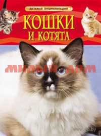 Книга Детская Энциклопедия Кошки и котята 22214 ш.к.9126