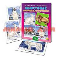 Игра Дидактическое пособие Животные Арктики и Антарктики ПД-9166