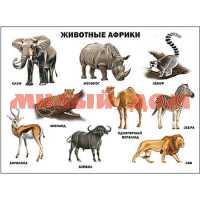 Плакат Животные Африки 7364-8