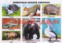 Плакат Животные Южной Америки 7365-5