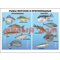 Плакат Рыбы морские и пресноводные 7372-3
