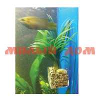Горшочек 40*40*100мм в аквариум для растений на присосках Д-00084