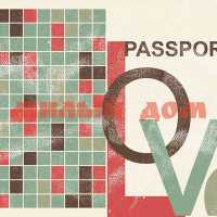 Обложка д/паспорта из кожи 13,2*18,6  20125