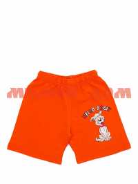 Шорты детские для мальчиков SH54 Hello dog оранжевый р 5-8л