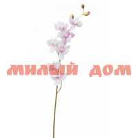Цветы искусств РЕМЕКО 77см Орхидея 242908