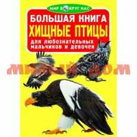 Книга Большая книга Мир вокруг нас Хищные птицы ш.к.8023