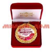 Сувенир Медаль в бархатной коробке Лучший воспитатель детского сада 3621363