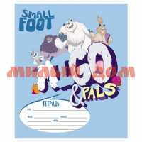 Тетрадь 12л линия А5 Маленькие ножки Small Foot 12Т5В2 56237