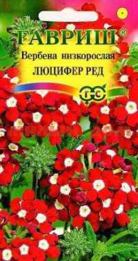 Семена цветы ВЕРБЕНА Люцифер Ред ш.к.5142 сп=10шт/СПАЙКАМИ