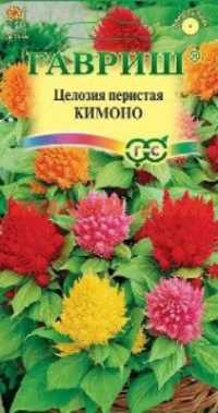 Семена цветы ЦЕЛОЗИЯ Кимоно перистая смесь ш.к.1455 сп=10шт СПАЙКАМИ