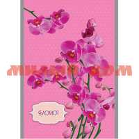 Блокнот 32л А5 Орхидеи на розовом С0101-108 ш.к 8240