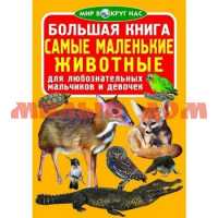 Книга Большая Самые маленькие животные ш.к.0439