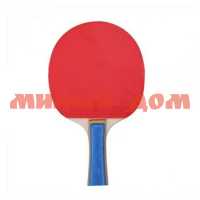 Ракетка для настольного тенниса AN01011