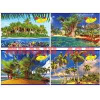 Альбом для рис 40л A4 скрепка Тропический рай А440 K4/TOI 2819