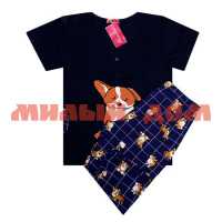 Пижама женская футболка бриджи 093 собака черно-синий р 48