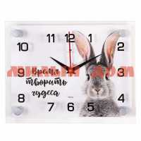 Часы настенные 21ВЕК Год кролика 2026-044