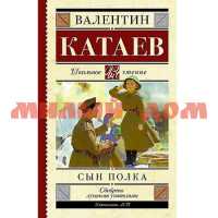Книга Катаев В.П. Сын полка 8110