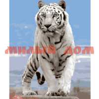 Набор для творчества Мозаика алмазная Белый тигр 11цв 22*30см ACF052