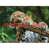 Набор для творчества Мозаика алмазная Свирепый леопард 27цв 30*40см FW-002