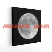 Картина 40*40 Луна деревянный подрамник 1-170 2554
