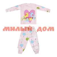 Пижама детская для девочек начес Б-А576 птички розовый р 4г