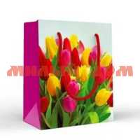 Пакет подарочный 11*15см Цветные тюльпаны S 15.20.02272 сп=10шт/спайками